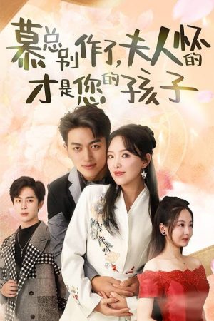 慕总别作了，夫人怀的才是您的孩子 (2023) poster