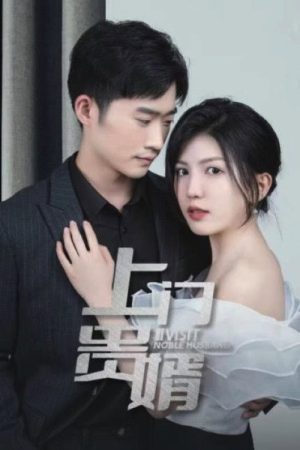 上门贵婿 (2023) poster