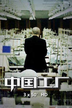 中国工厂 (2019) poster