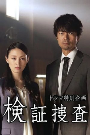Verification Investigation (2017) poster