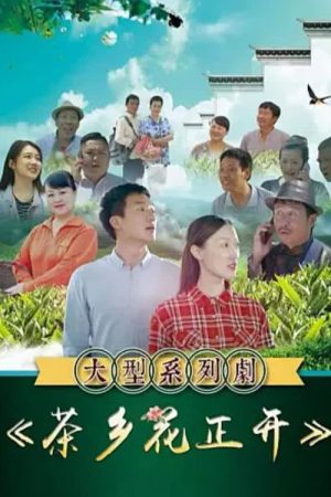 茶乡花正开 (2021) poster