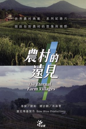 农村的远见 (2018) poster