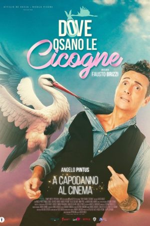 Where Storks Dare (2025) poster