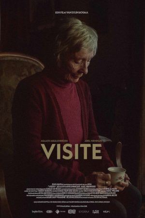 Visit (2018) poster