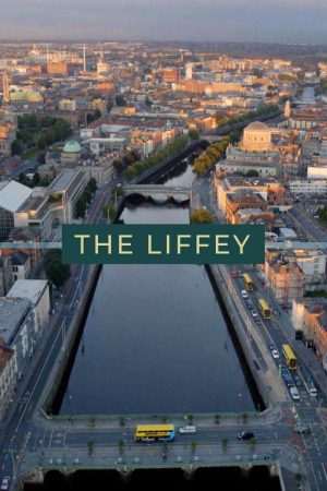 The Liffey (2022) poster
