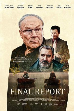 Final Report (2020) poster