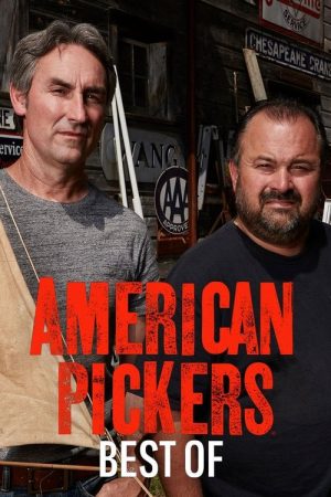 American Pickers: Best Of (2017) poster
