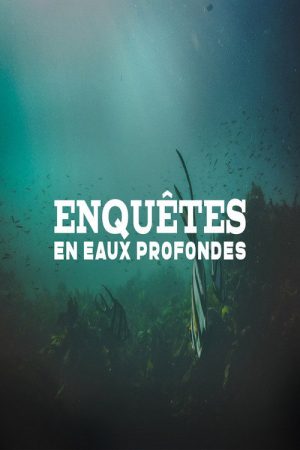 Enquêtes en eaux profondes (2017) poster