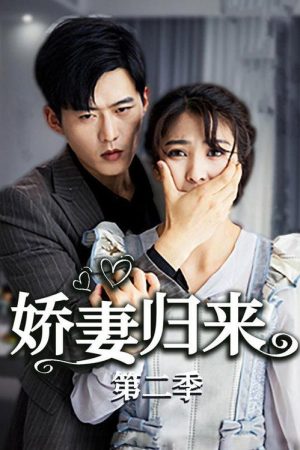 娇妻归来第二季 (2023) poster