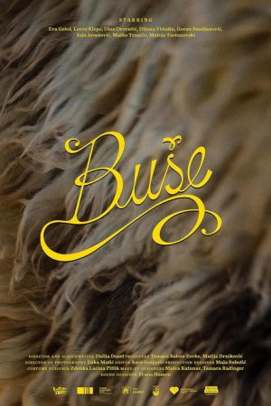 Bushe (2026) poster