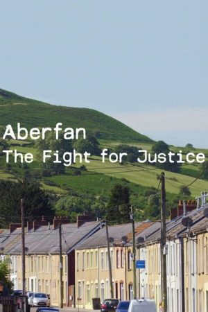 Aberfan: The Fight For Justice (2016) poster