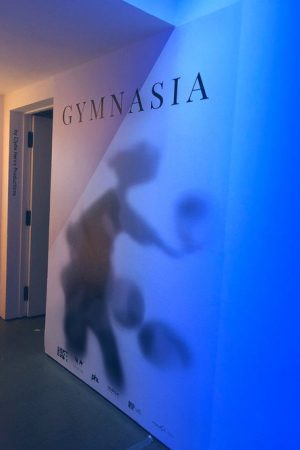 Gymnasia (2019) poster