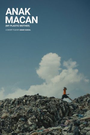 My Plastic Mother (2026) poster