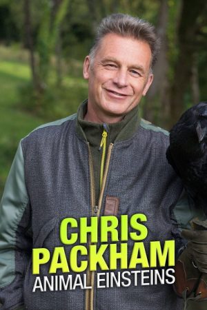 Chris Packham’s Animal Einsteins (2021) poster