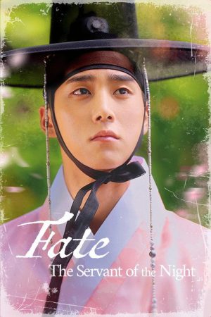 Fate: The Servant of the Night (2025) poster