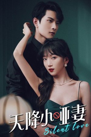 The Silent Wife Sent from Heaven (2025) poster