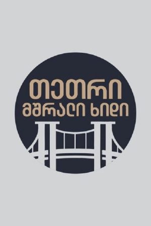თეთრი,მშრალი ხიდი (2023) poster