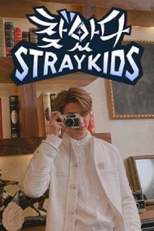 Stray Kids: Finding SKZ (2019) poster
