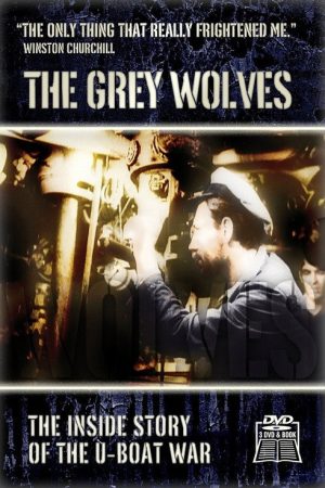The Grey Wolves: Echoes from WWII (2016) poster