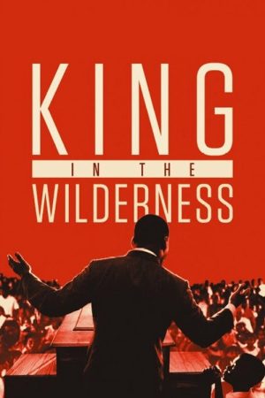 King in the Wilderness (2018) poster