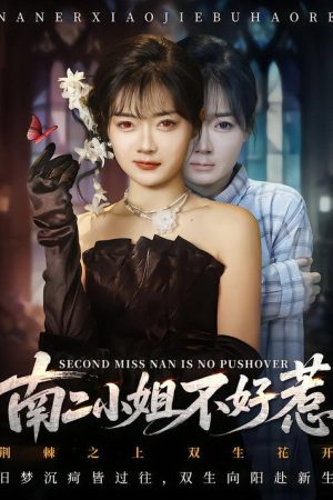 南二小姐不好惹 (2026) poster