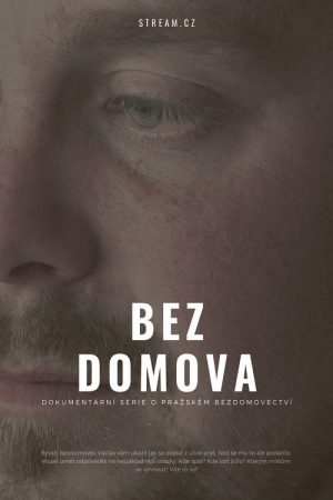 Bez domova (2019) poster