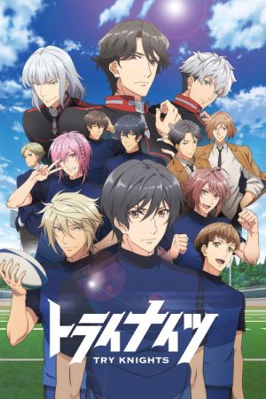 Try Knights (2019) poster