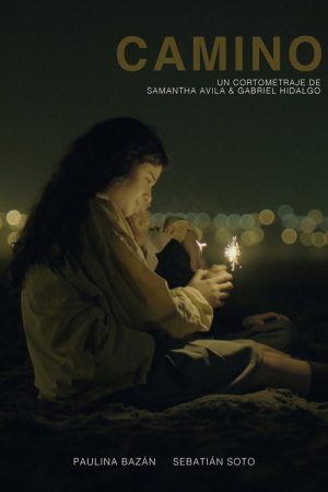 Camino (2018) poster