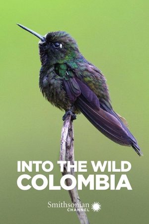 Into the Wild: Colombia (2018) poster