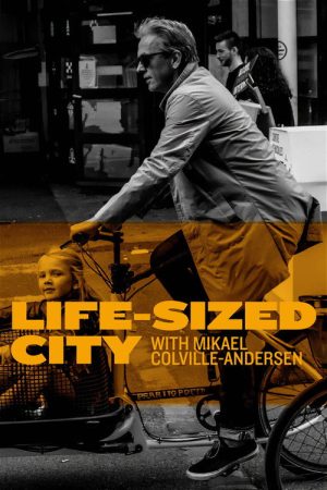 The Life-Sized City (2017) poster