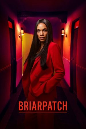 Briarpatch (2020) poster