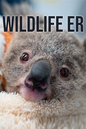 Wildlife ER (2023) poster