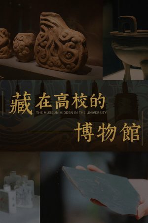 藏在高校的博物馆 (2025) poster