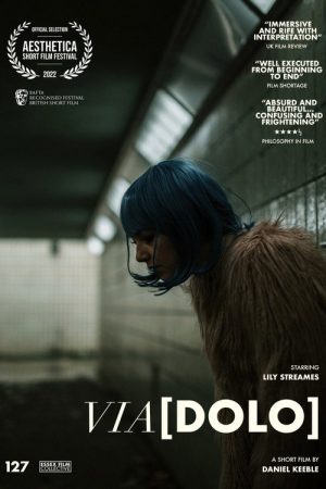 Via[Dolo] (2022) poster