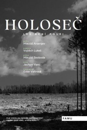 Holoseč (2025) poster
