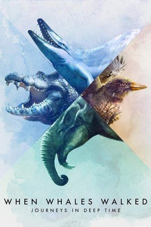 When Whales Walked: Journeys in Deep Time (2019) poster