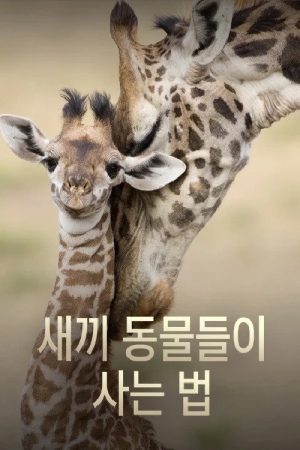 새끼 동물들이 사는 법 (2016) poster