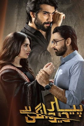 pyar deewangi hai (2022) poster