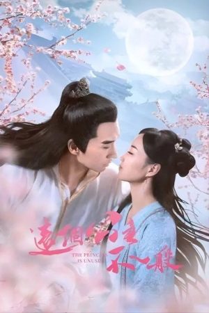 The Princess Is Extraordinary (2022) poster