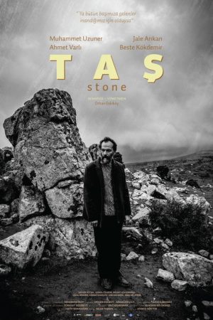 The Stone (2017) poster