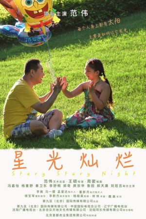 星光灿烂 (2017) poster
