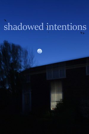 shadowed intentions (2024) poster