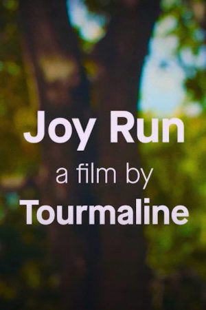Joy Run (2020) poster