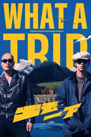 What a Trip (2025) poster