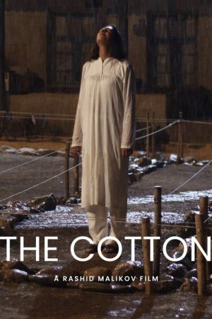Cotton (2025) poster