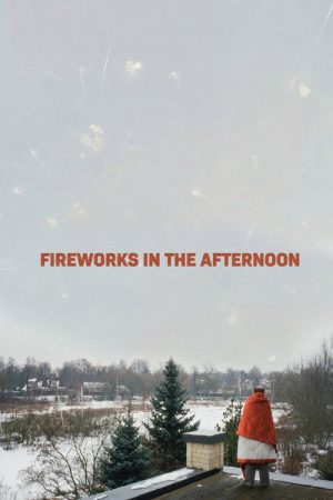 Fireworks in the Afternoon (2026) poster