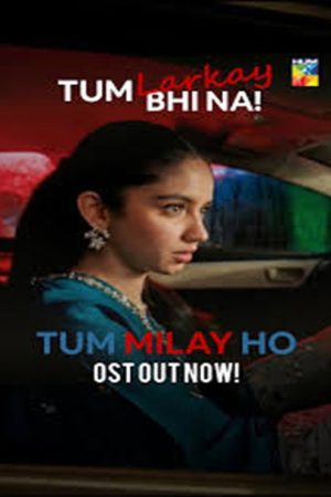 Tum Milay Ho (2026) poster