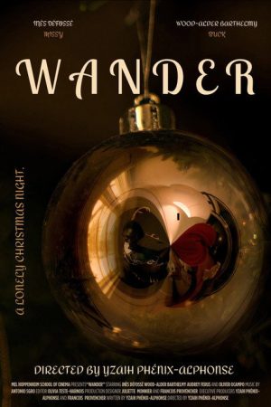 WANDER (2024) poster