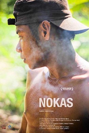 Nokas (2016) poster
