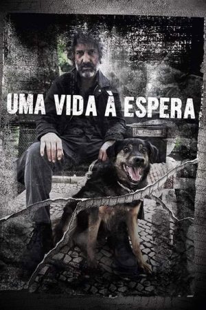 Uma Vida À Espera (2017) poster